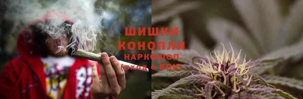 амф Богородск