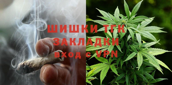 гашиш Богданович