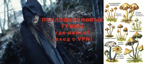 гашиш Богданович